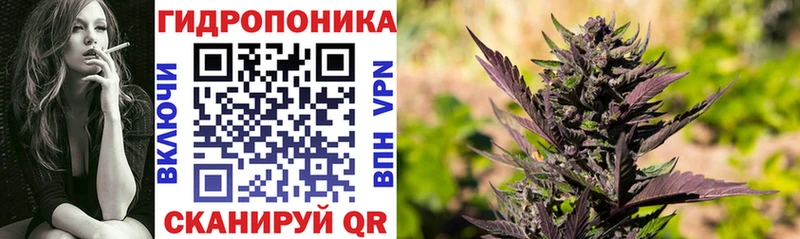 Где можно купить наркотики Новая Ладога Амфетамин Меф мяу мяу Гашиш COCAIN