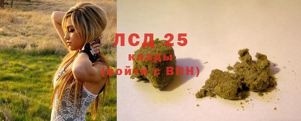 дживик Вязьма