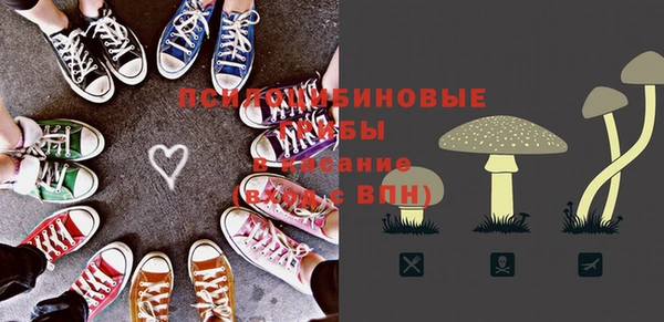 СК Вяземский