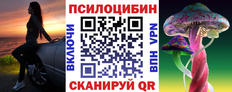 Псилоцибиновые грибы GOLDEN TEACHER  цены   Новая Ладога 