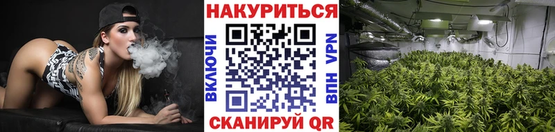 где найти   Новая Ладога  МАРИХУАНА THC 21% 